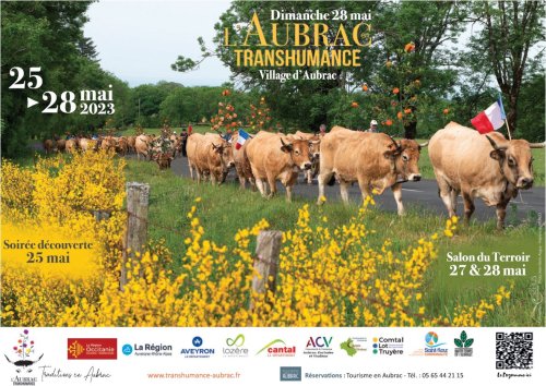 L'aubrac en Transhumance